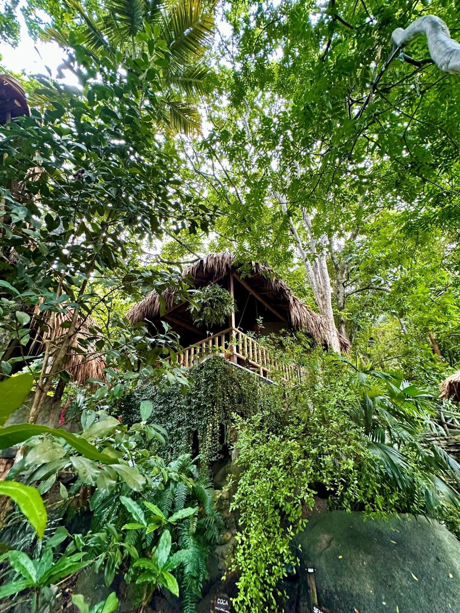 Eco Hostal Yuluka El Zaino Exterior photo